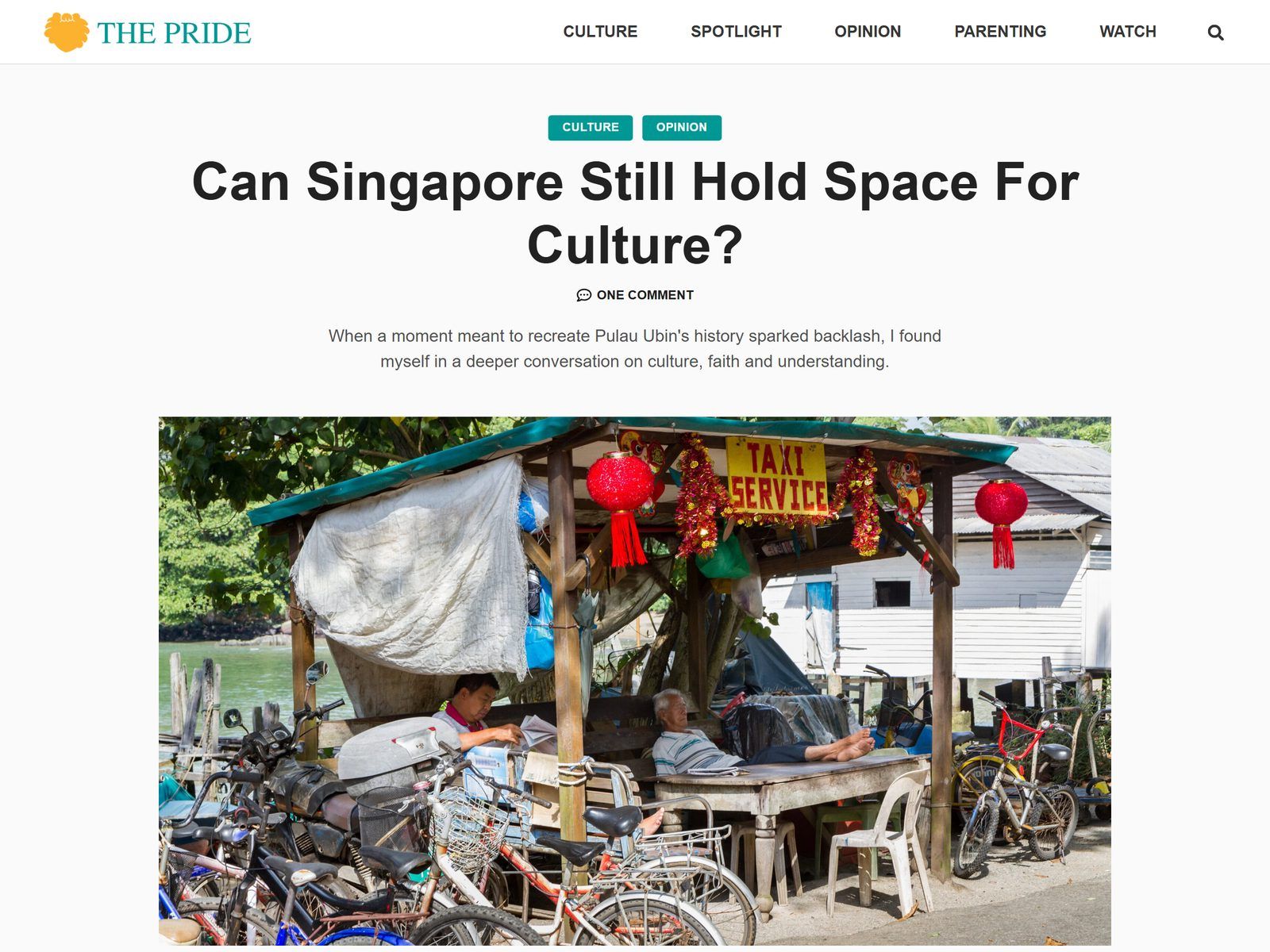 The Pride website: Article page